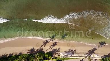 夏威夷毛伊岛，美丽的<strong>摄影作品展</strong>现了令人兴奋的海洋和海岸线附近的巨浪，以及奇异的树木
